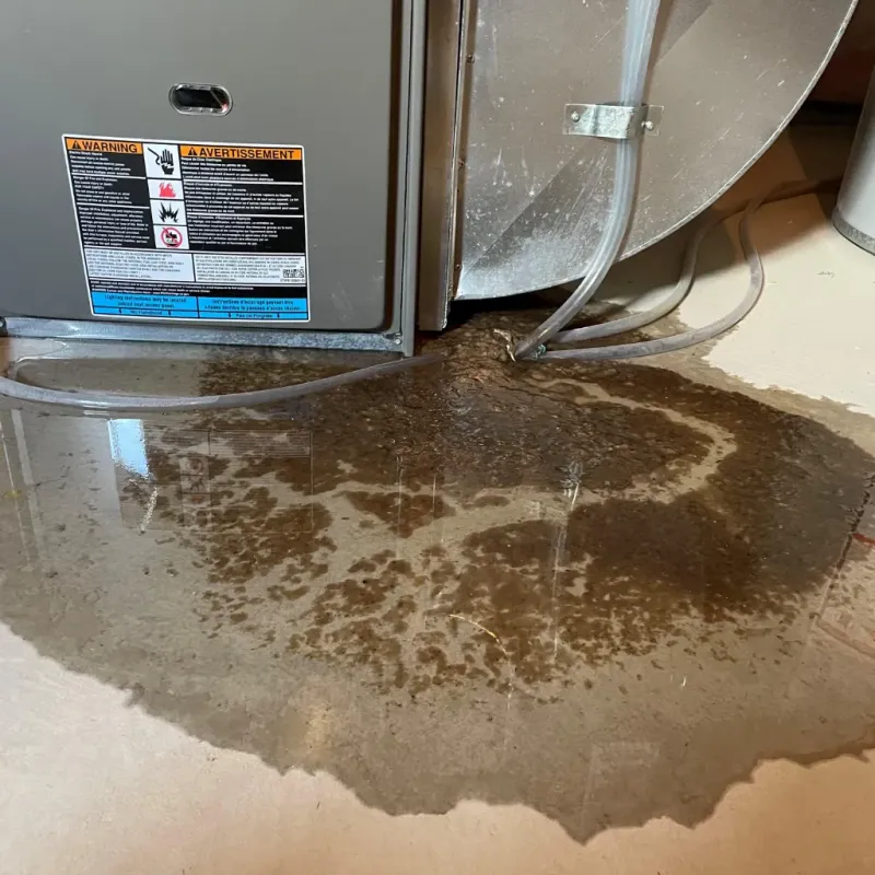 Appliance Leak Cleanup in Wood County, TX