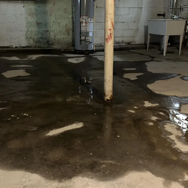 Emergency Water Extraction And Removal in Wood County, TX
